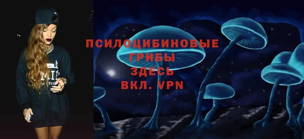 mdpv Белокуриха