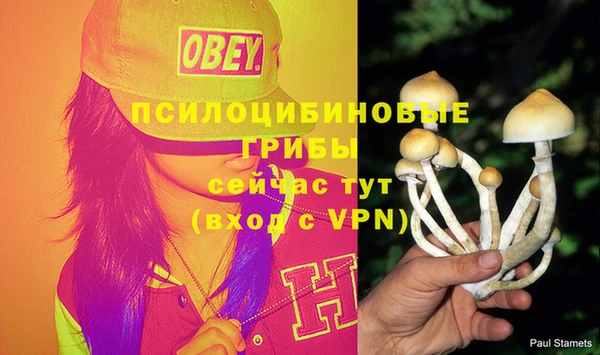mdpv Белокуриха